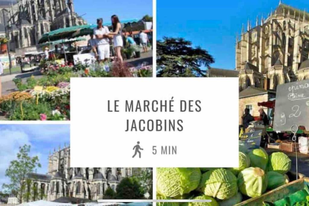 Appartements De Standing Centre Ville, Gare, Jardin,Terrasse เลอม็องส์ ภายนอก รูปภาพ
